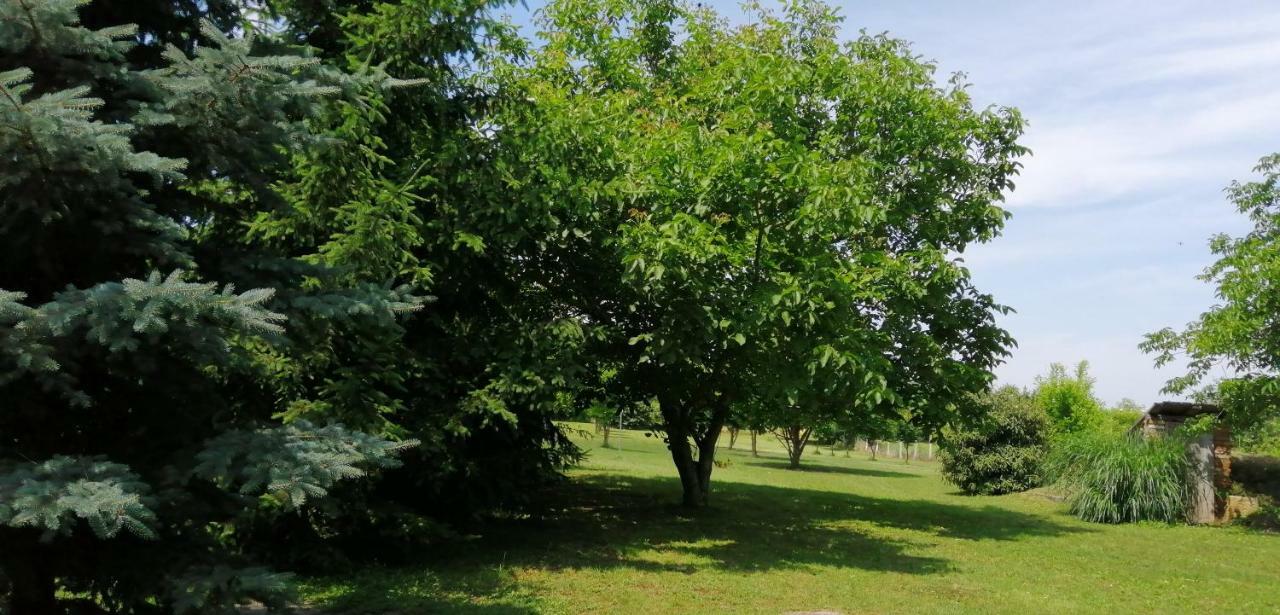 Gesztenye Vendégház Sagvar Exterior foto