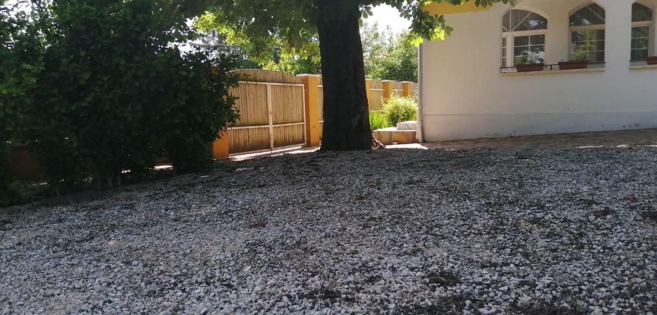 Gesztenye Vendégház Sagvar Exterior foto