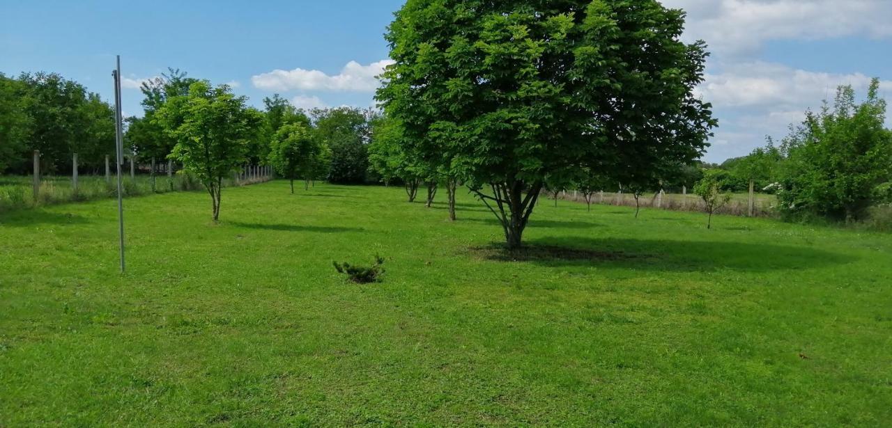 Gesztenye Vendégház Sagvar Exterior foto